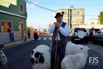 Alegre y participativa romería en El Ejido (Foto FJ Santana y TF)